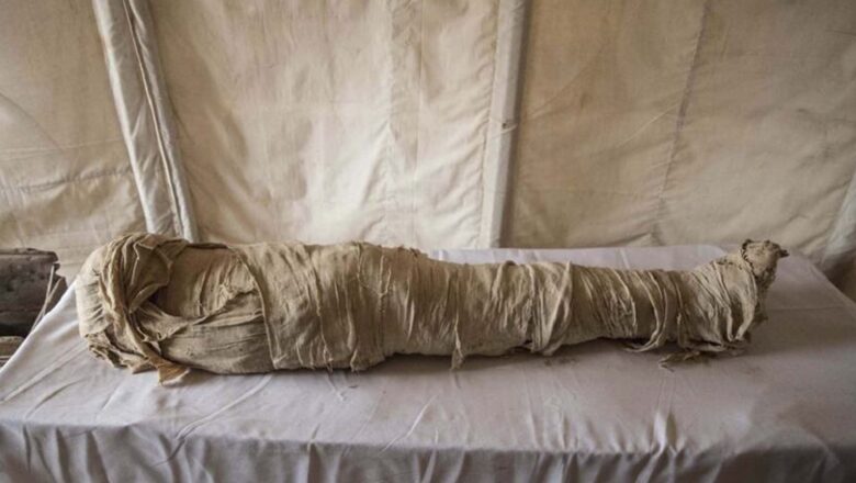 GIGANTESCO DESCUBRIMIENTO ARQUEOLÓGICO EN EGIPTO