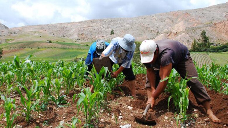 FIJAN LEY DE ALIVIO FINANCIERO PARA PEQUEÑOS PRODUCTORES