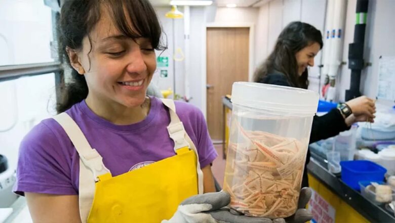 GUADALUPE BRIBIESCA  LA CIENTÍFICA MEXICANA  QUE INVESTIGA NUEVAS ESPECIES EN EL FONDO MARINO