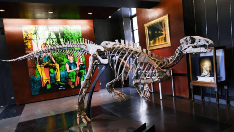 ZÉPHYR : SUBASTARÁN EN PARÍS UN DINOSAURIO DE 150 MILLONES DE AÑOS DE ANTIGÜEDAD
