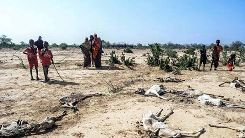 G7 PRESENTA UNA INICIATIVA PARA COSTEAR DAÑOS POR CRISIS CLIMÁTICA