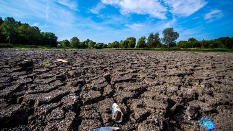 CALENTAMIENTO GLOBAL: EL PROBLEMA AUMENTA Y PRODUCE CADA VEZ EFECTOS MÁS COSTOSOS