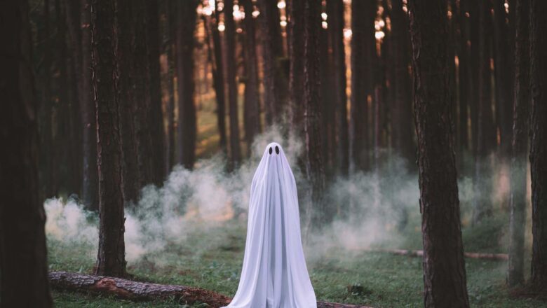 ¿REALMENTE PUEDES VER FANTASMAS? SEGÚN LA CIENCIA