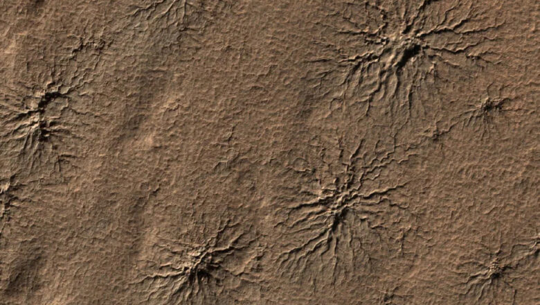 LAS MISTERIOSAS «ARAÑAS» DE MARTE DESPIERTAN POR PRIMERA VEZ EN LA TIERRA