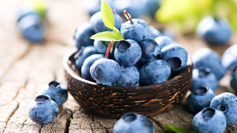 UVAS Y ARÁNDANOS LIDERAN SOLICITUDES PARA PROTEGER NUEVAS VARIEDADES VEGETALES EN PERÚ