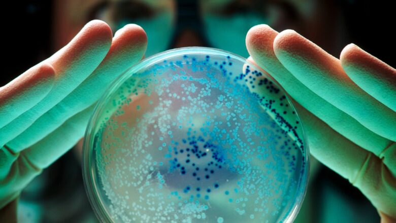 UN GEN QUE HACE INVENCIBLES A LAS BACTERIAS SE PROPAGA POR TODO EL MUNDO