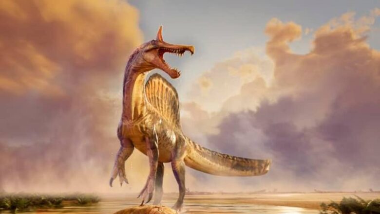 DESCUBREN UNA NUEVA ESPECIE DE SPINOSAURUS EN ÁFRICA