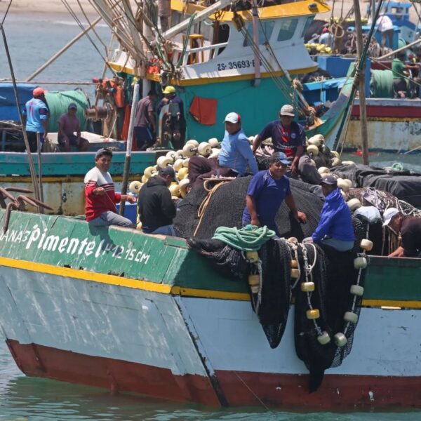 PRODUCE FORTALECE LA PESCA ARTESANAL CON IMPLEMENTACIÓN DEL SISTEMA DE GESTIÓN DE CALIDAD EN EL SEPA