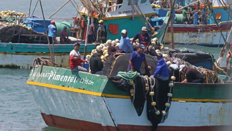 PRODUCE FORTALECE LA PESCA ARTESANAL CON IMPLEMENTACIÓN DEL SISTEMA DE GESTIÓN DE CALIDAD EN EL SEPA