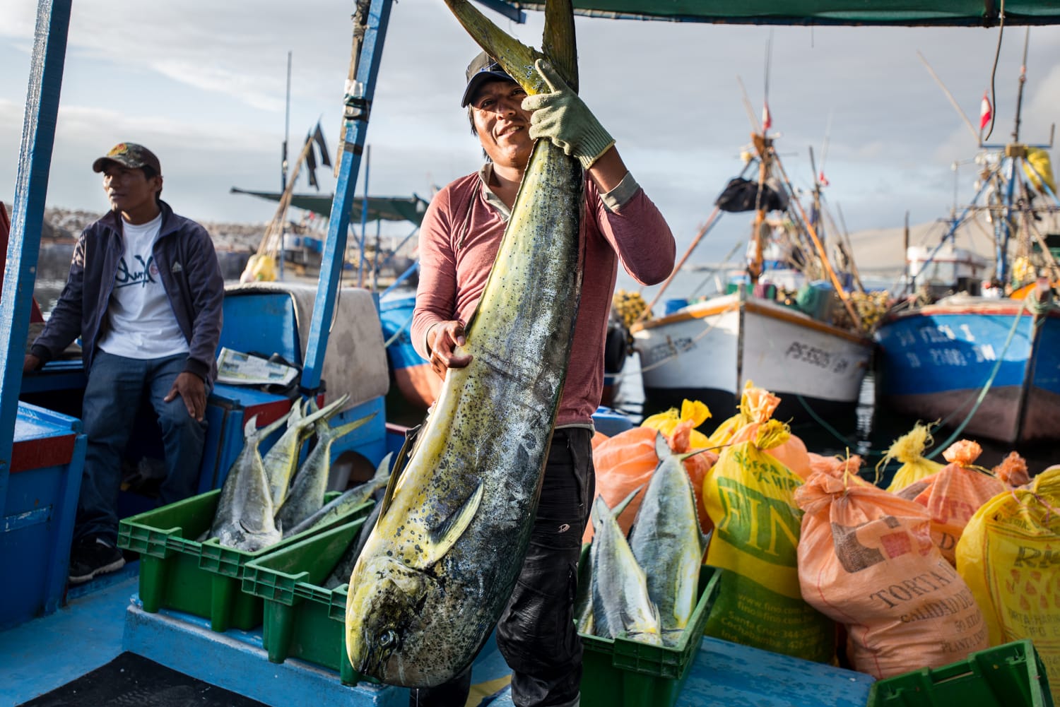 pesca del perico se inicia excepcionalmente el 1 de septiembre